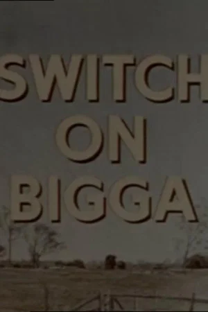 Постер: Switch on Bigga