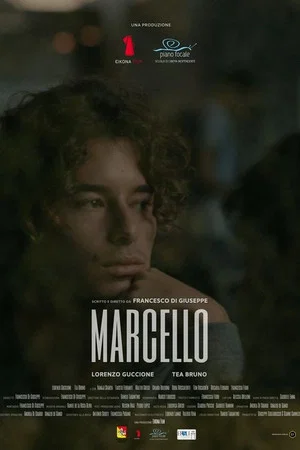 Постер: Marcello
