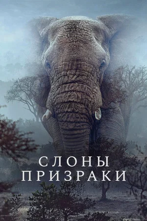 Постер: Слоны-призраки