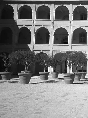 Постер: La Vie des monuments