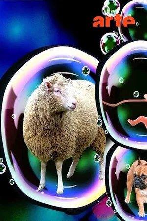 Постер: Dolly