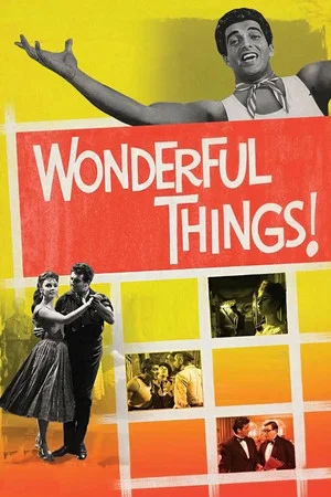 Постер: Wonderful Things