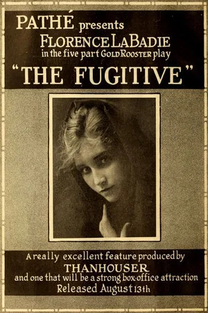 Постер: The Fugitive