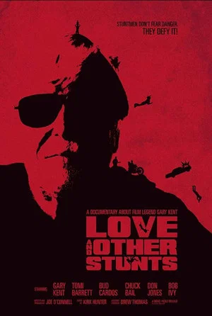 Постер: Love and Other Stunts