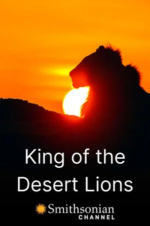 Постер: King of the Desert Lions