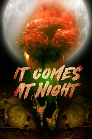 Постер: In the Light of the Night
