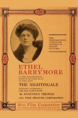 Постер: The Nightingale