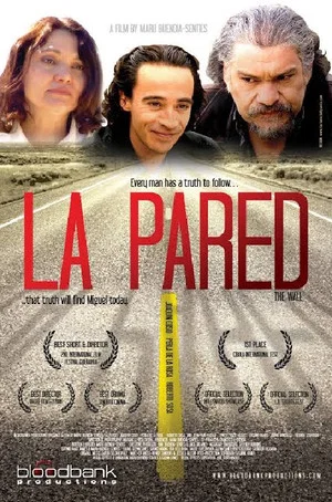 Постер: La Pared