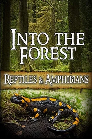 Постер: Into the Forest: Reptiles & Amphibians