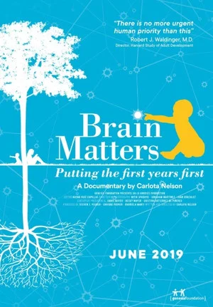 Постер: Brain Matters