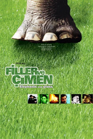 Постер: Filler ve Çimen