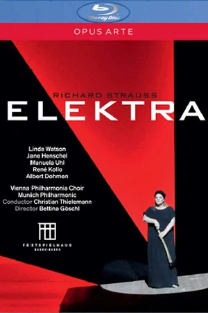Постер: Elektra