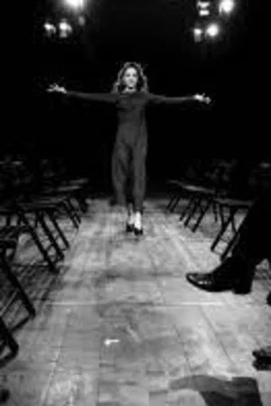 Постер: The seagull - the movie