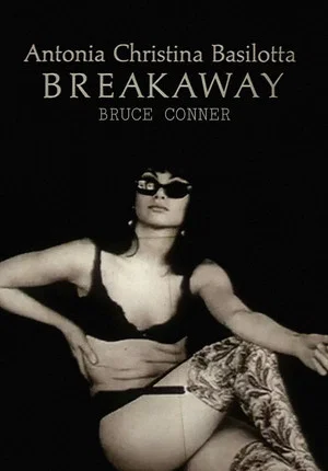 Постер: Breakaway