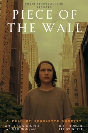 Постер: Piece Of The Wall