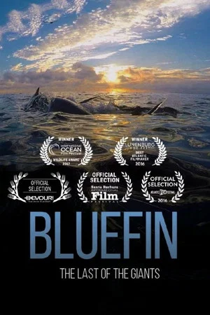 Постер: Bluefin