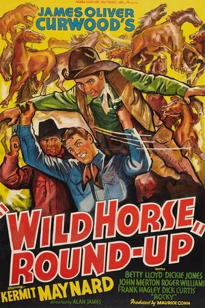Постер: Wild Horse Round-Up