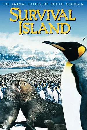 Постер: Survival Island