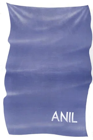 Постер: Anil