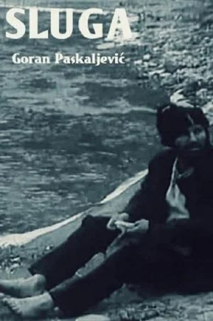 Постер: The Servant