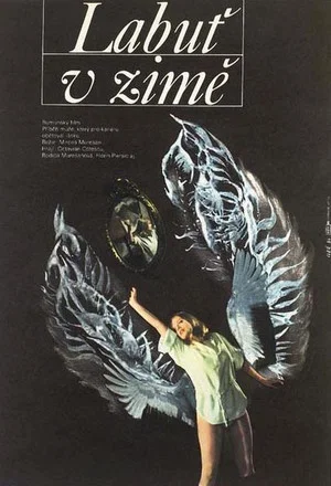 Постер: A Swan in Winter