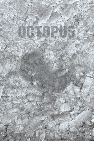 Постер: Octopus