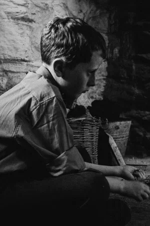 Постер: The Welfare of Tomás Ó Hallissy
