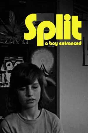 Постер: Split