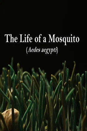 Постер: The Life of a Mosquito