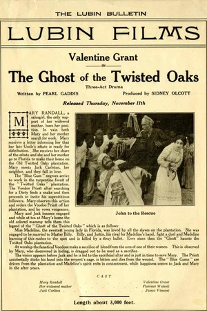 Постер: The Ghost of Twisted Oaks