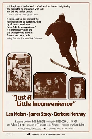 Постер: Just a Little Inconvenience