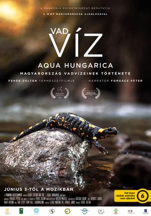 Постер: Where Rivers Run Wild: Aqua Hungarica