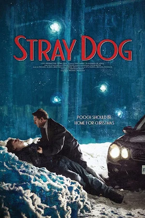 Постер: Stray Dog
