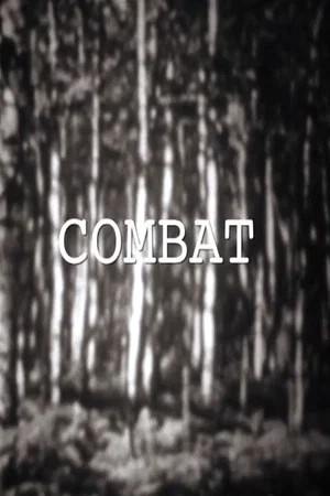 Постер: Combat