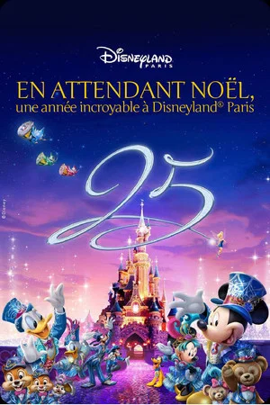 Постер: Waiting for Christmas: An Incredible Year at Disneyland Paris