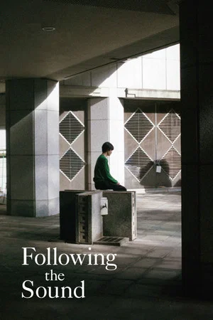 Постер: Following the Sound