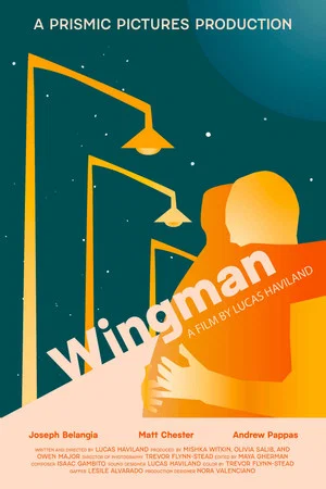 Постер: Wingman