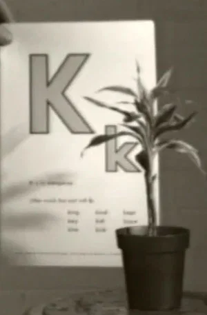 Постер: Teaching a Plant the Alphabet