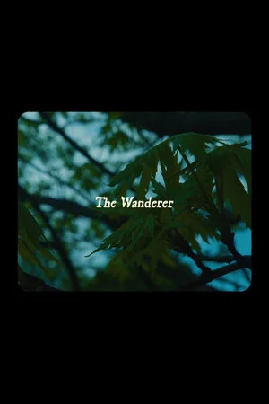 Постер: The Wanderer