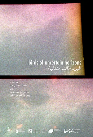 Постер: Birds of uncertain horizons