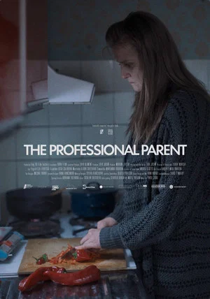 Постер: The Professional Parent