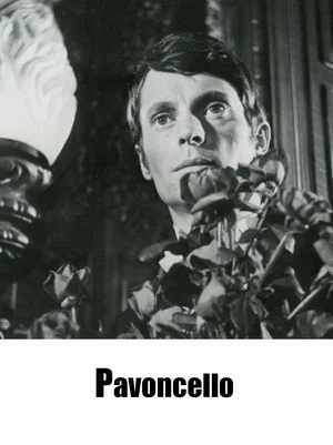 Постер: Pavoncello