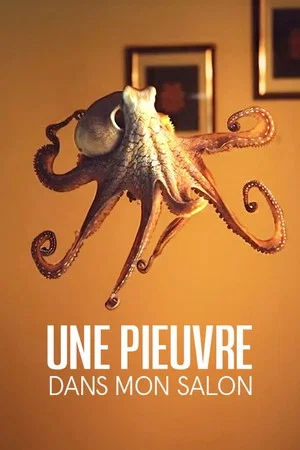 Постер: The Octopus in My House
