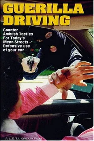 Постер: Guerilla Driving