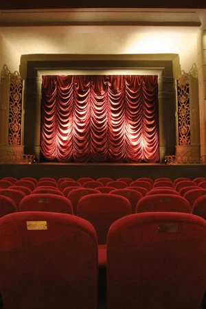 Постер: The Dream Palace: A People's History of Tyneside Cinema