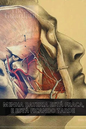 Постер: Minha Bateria Está Fraca e Está Ficando Tarde