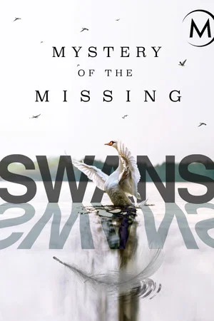 Постер: Swans: Mystery of the Missing