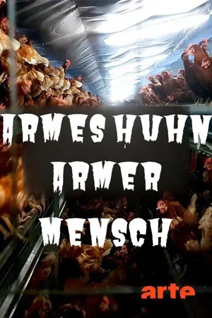 Постер: Armes Huhn – armer Mensch