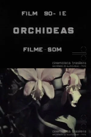 Постер: Orchids