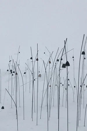 Постер: Animitas blanc